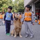 마루어린이집 이미지