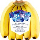 박대성농장 이미지