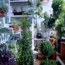 봉의농장 이미지