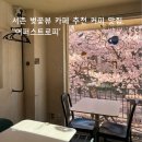 필운대로 | 경복궁역 서촌 벚꽃 카페 필운대로 벚꽃길 카페 추천, ‘어퍼스트로피’ 후기