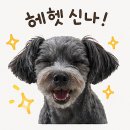 고기굴 | 정선 맛집 정선반점 매운 굴짬뽕 후기, 고기 덮밥·오징어덮밥 포장 내돈내산