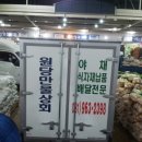 인호상회
