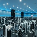 새로나빌딩 이미지