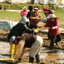 도당3리 이미지