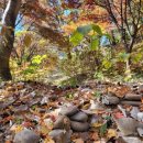 탄금대궁도장 이미지