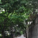 명선한의원 이미지