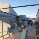 안씨농장 이미지