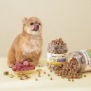 펫큐브 | 펫생각 큐브져키 대용량 강아지 간식 후기 - 1.1kg 효과 분석