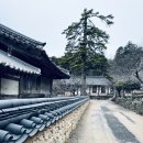 섬진강와송 | 24. 2월 순천여행 1박 2일