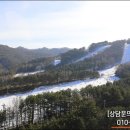 용평버치힐테라스레지던스콘도 이미지