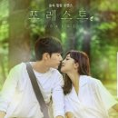 포레스트 이미지