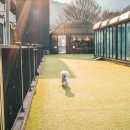 벨르 온수 수영장펜션 이미지