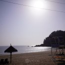 죽도관광지화장실 이미지