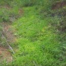 우포늪단감펜션 이미지