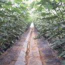 여수농업기술센터 이미지