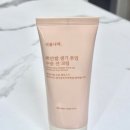 식물나라 | 식물나라 뽀얀쌀 선크림 사용후기! 올리브영 핑크 톤업 선 크림 리뷰 내돈내산