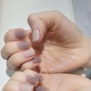 넬샵 네이버블로그