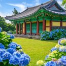 드라이빙제주 - 제주시 남성로 98-1 | 드라이빙제주