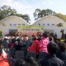 제11회 홍성사랑 국화축제 이미지