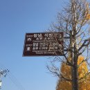 최익수정형외과의원 이미지