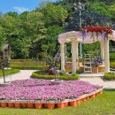 대청호 자연수변공원 이미지