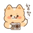 천천숯불갈비 이미지