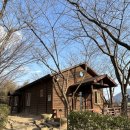 사단법인함께하는우리마음 | 대구명상 21년 차, 육아맘의 솔직 후기(초보자 추천)