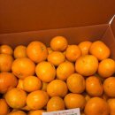 유현농장 이미지