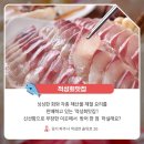 적성회맛집 이미지