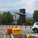 핑크피크닉 | [ 미사경정공원 ] 핑크뮬리, 주차, 산책, 피크닉 등 솔직후기