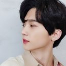 손수코 이미지