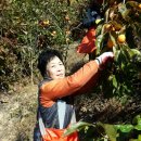 정성주농장 이미지