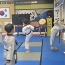 사랑태권도 이미지