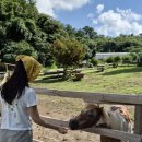 교촌목장 이미지