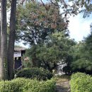 진건우회로63 | 남양주 한정식 맛집 소리소 시골밥상 평일 웨이팅, 방문 추천 시간대