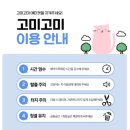 고양이 무마취미용 고미고미 화명점 이미지