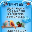 인생의 뒤안길 이미지