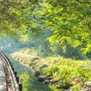 (주)이프월드 이미지