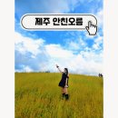 제주감성 | 제주 안친오름 솔직후기, 인스타 감성 기대했는데 현실은?
