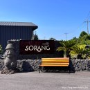 [제주/조천] 제주 커플여행·가족여행 독채 숙소 추천 '풀빌라소랑' 디럭스가든풀 내돈내산 후기