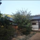 영광향교 이미지