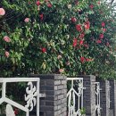 이권희 농장 이미지