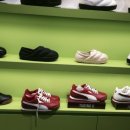 화이트파크 이미지