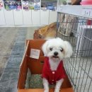 참 이미지
