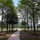 참 좋은 시간을 보낸 국립칠곡숲체원 방문 후기