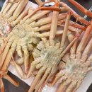 산업로1-1 | 경주 대게 시세 알아보다 우연히 찾은 맛집 이항우씨푸드 솔직후기