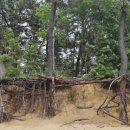 옥남농장 이미지