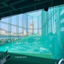 느루미동태탕 이미지