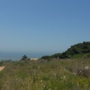 실미해수욕장-해변 이미지