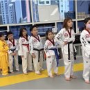 국가대표 탑 태권도장 이미지